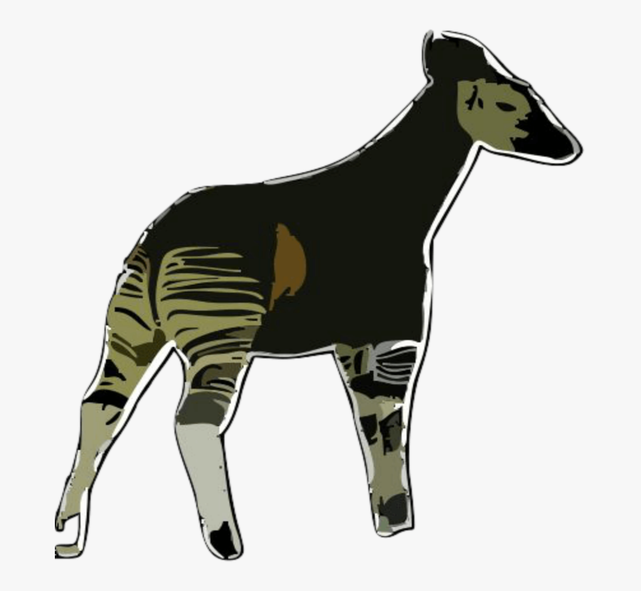 Giraffidae,wildlife,neck - Okapi Png, Transparent Clipart