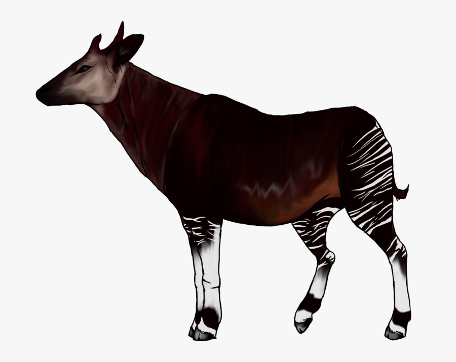 Okapi Giraffe Animal Clip Art - Okapi Transparent Background, Transparent Clipart