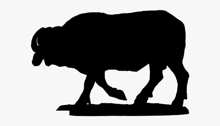 Transparent Buffalo Hd Wallpaper - Bull, Transparent Clipart