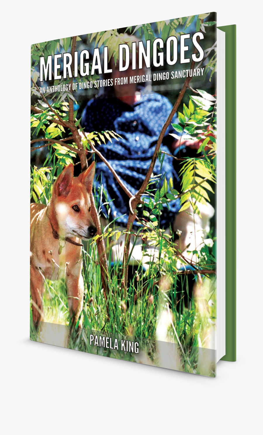 For The Love Of A Dingo, Transparent Clipart