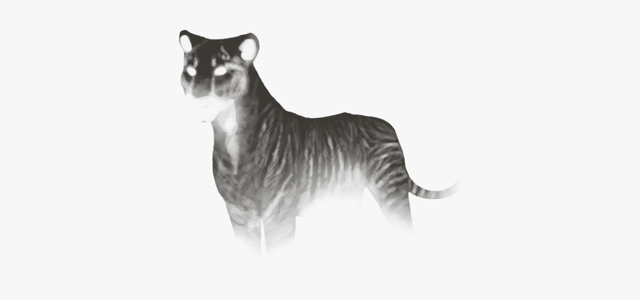 Siberian Tiger, Transparent Clipart