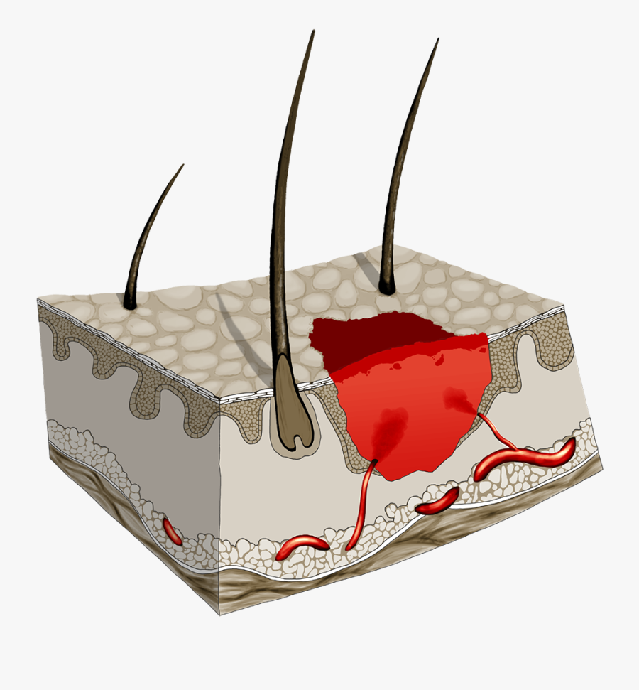 Tiara, Transparent Clipart