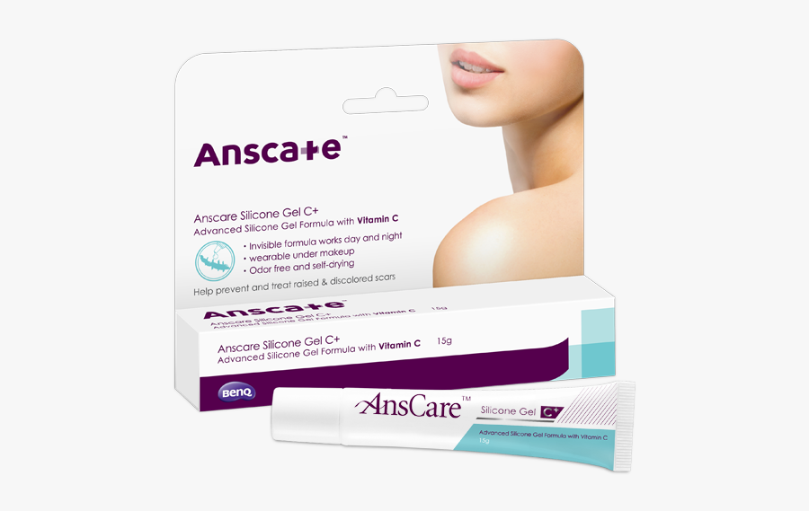 Brochure, Transparent Clipart