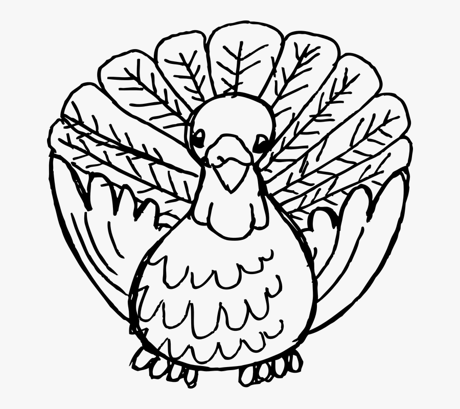 Turkey, Animal, Beak, Bird, Domestic, Feather, Meat - You Re Invited To Thanksgiving Dinner, Transparent Clipart