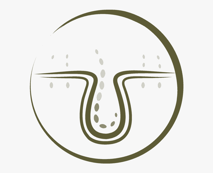 Circle, Transparent Clipart