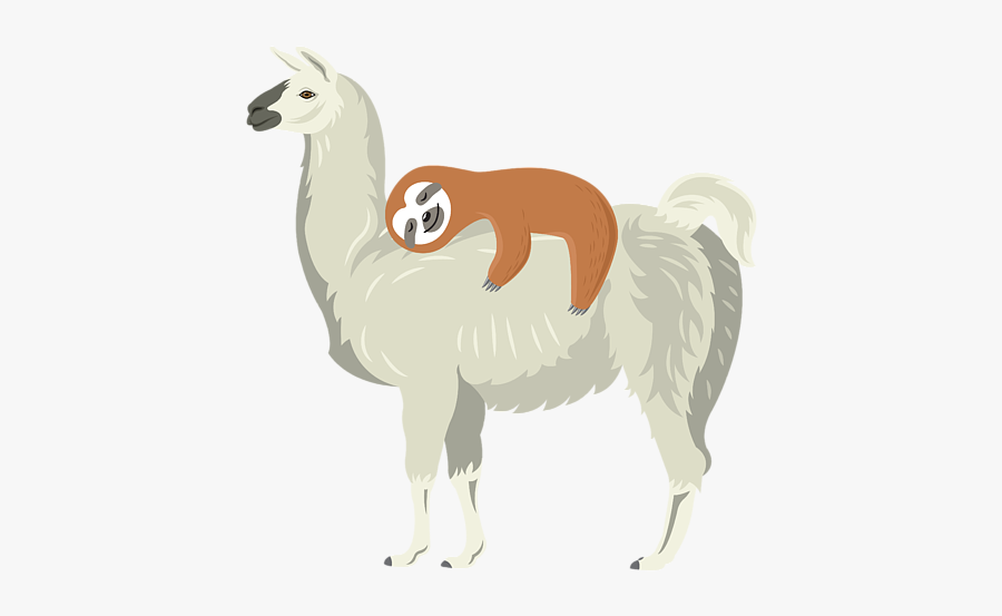 Camel, Transparent Clipart