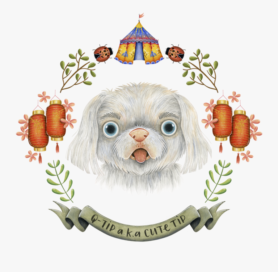 Congratulations Pictures For Graduation, Transparent Clipart