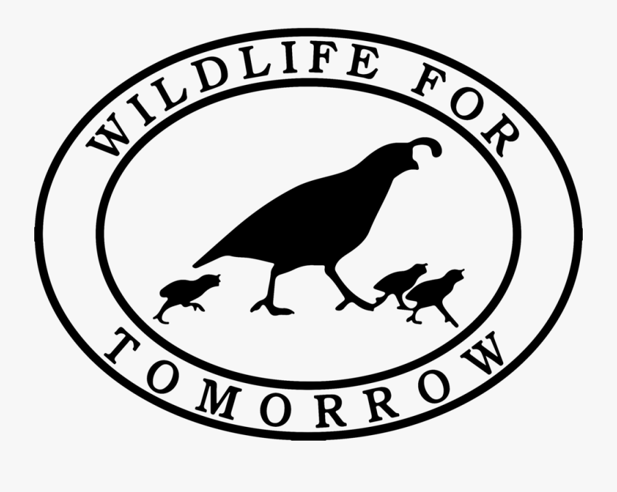 Output-onlinepngtools, Transparent Clipart