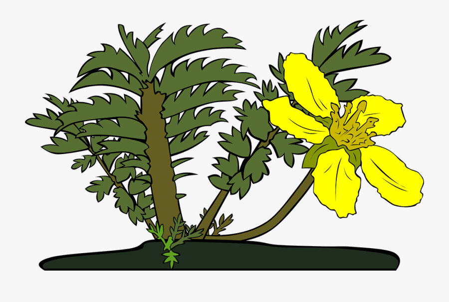 Big Tree Clipart At Getdrawings - Nama Tumbuhan Dalam Bahasa Inggris, Transparent Clipart