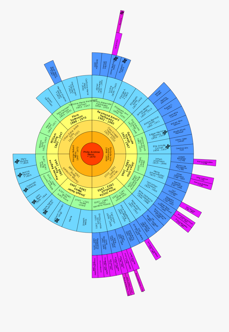 The Big Tree Fan Chart With Dna Matches Marked - Circle, Transparent Clipart