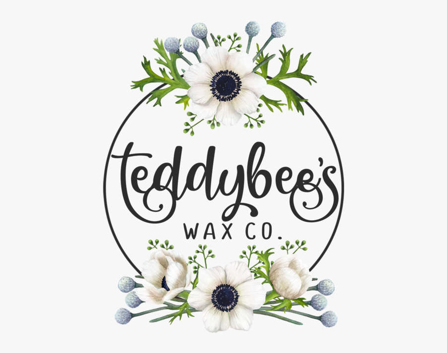 African Daisy, Transparent Clipart