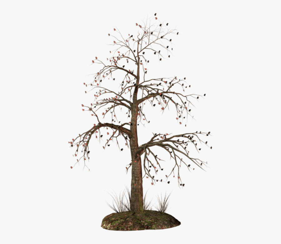 Dead Tree Png - Dead Tree Png Clipart, Transparent Clipart