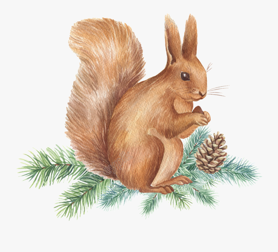 Squirrel Png Transparent Images - Tupai Png, Transparent Clipart