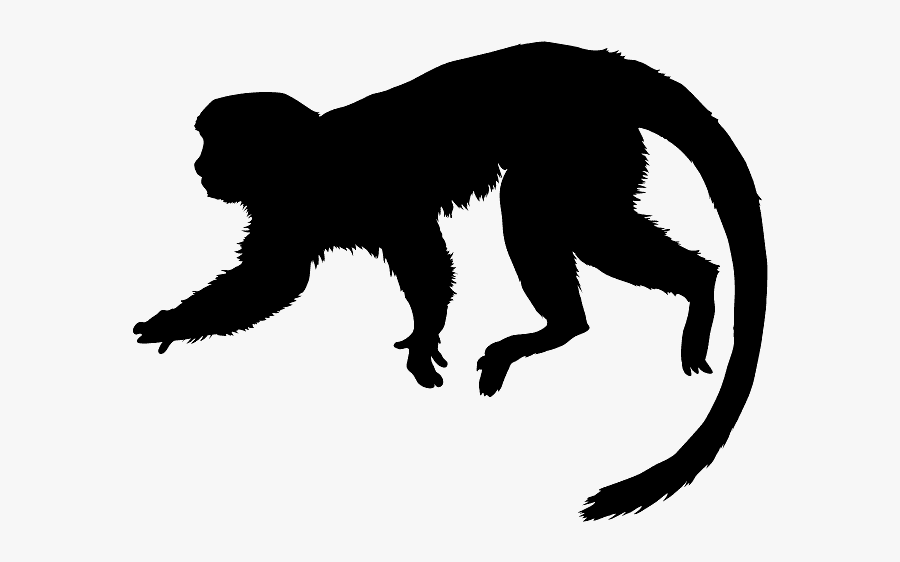 Tamarin Silhouette, Transparent Clipart