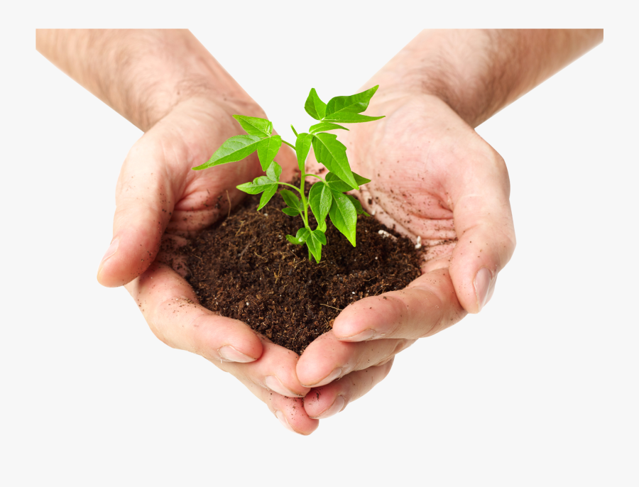 Soil In Hands Png - Transparent Plant In Hand Png, Transparent Clipart