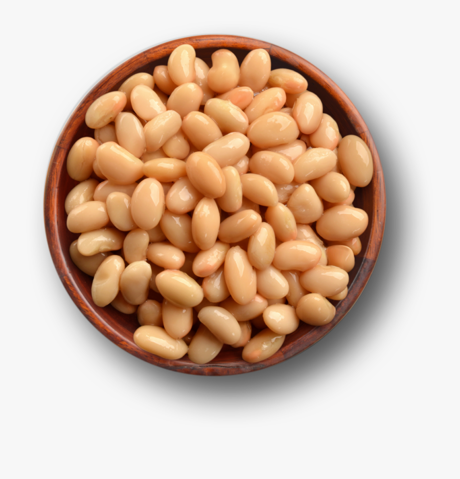 Baked Beans Vegetarian Cuisine Common Bean Organic - Great Northern Bean, Transparent Clipart