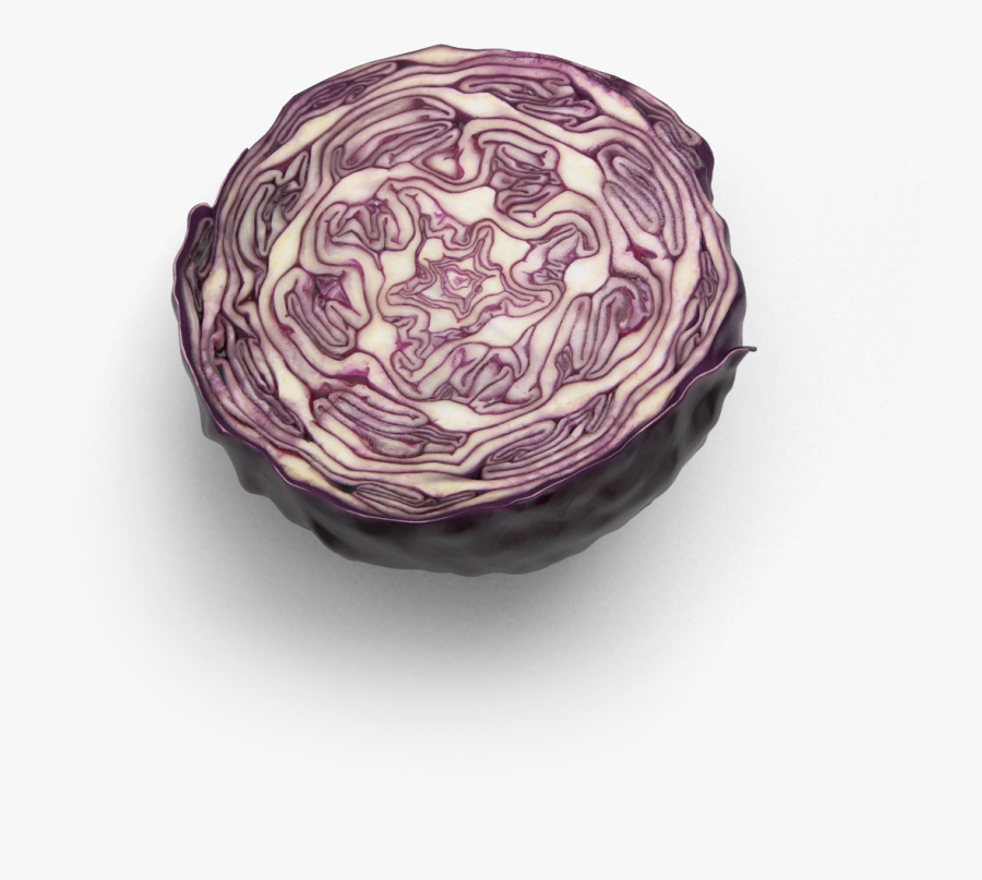 Red Cabbage, Transparent Clipart