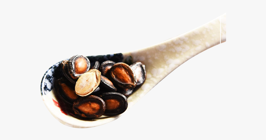 Clip Art Boiling Watermelon Seeds - Wood, Transparent Clipart