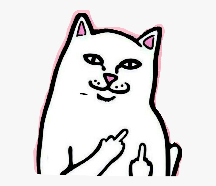 Vector Cats Rip N Dip, Transparent Clipart