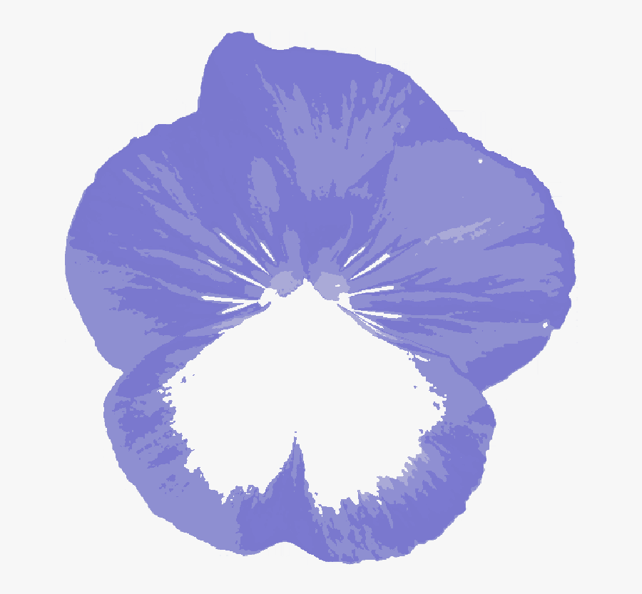 Transparent Petunia Png, Transparent Clipart