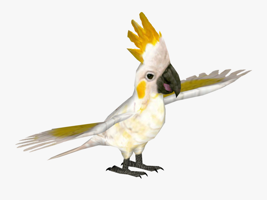 Transparent Cockatoo Png, Transparent Clipart