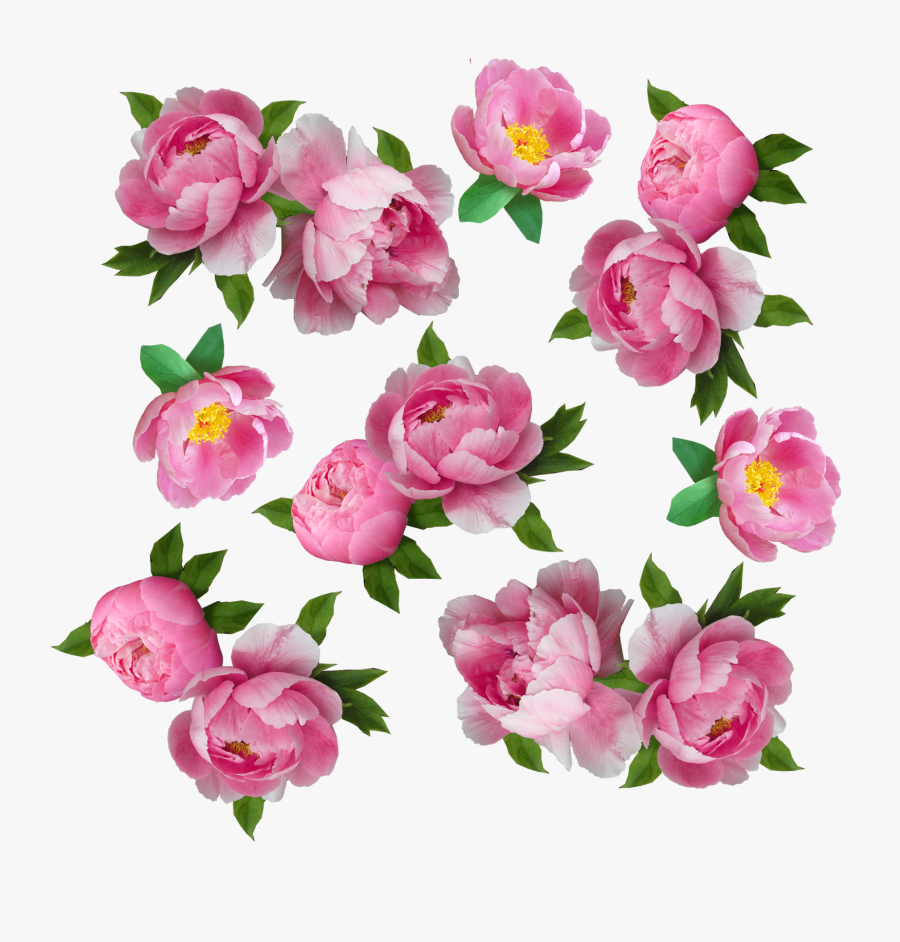 My Next Step Was To Make The Flowers Look More Like, Transparent Clipart