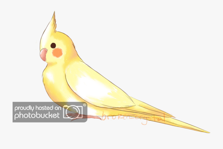 Clip Art Ciiris Got Their Homepage, Transparent Clipart