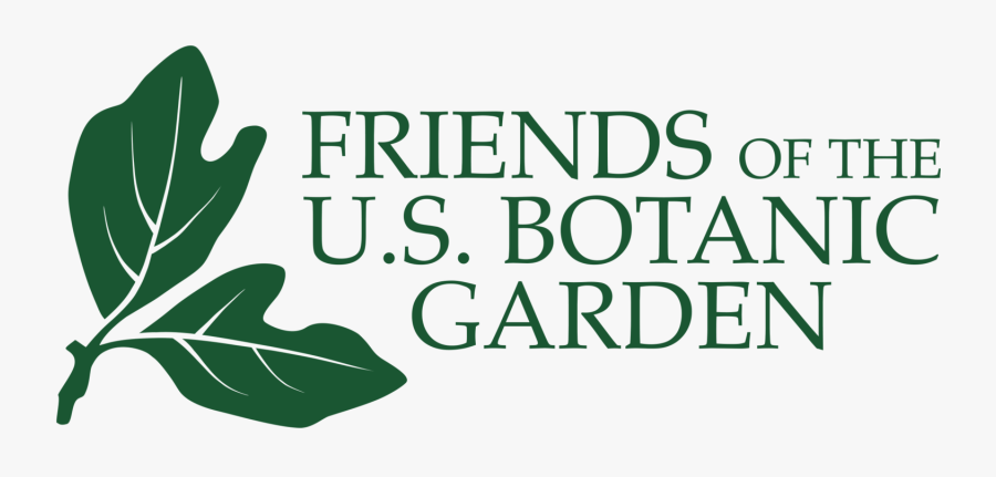 Morning Drawing Garden, Transparent Clipart