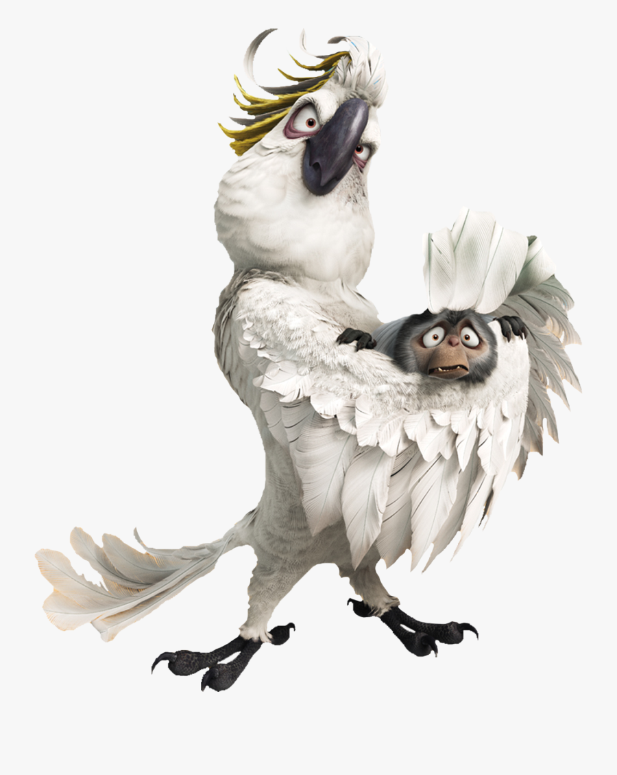 Cockatoo Clipart, Transparent Clipart
