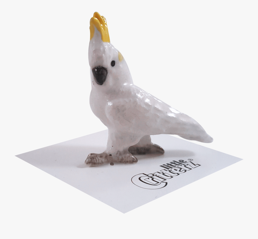 Transparent Cockatoo Png, Transparent Clipart