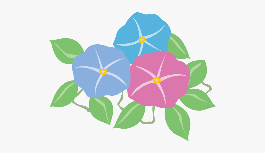 Morning Glory Clipart, Transparent Clipart