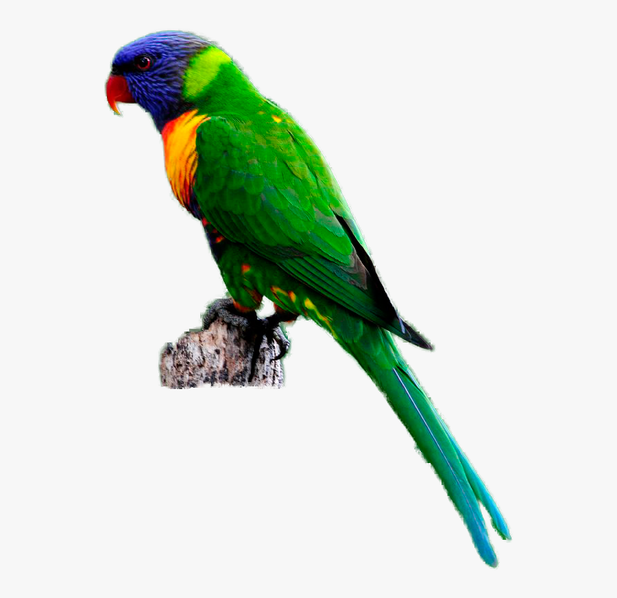 Collection Of Rainbow, Transparent Clipart