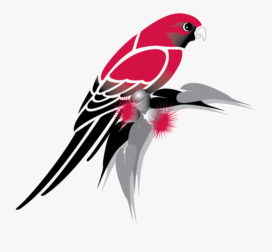 Function Drawing Parrot Beak - Png Black And White Parrot, Transparent Clipart