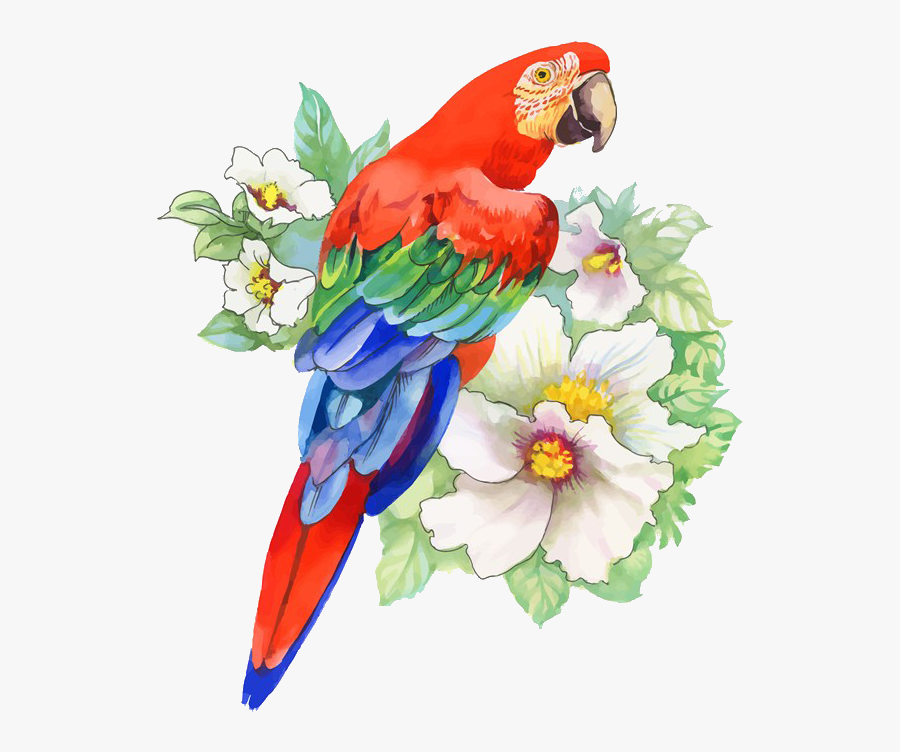 Cintiq Drawing Parrot - Bird On A Flower Drawing, Transparent Clipart