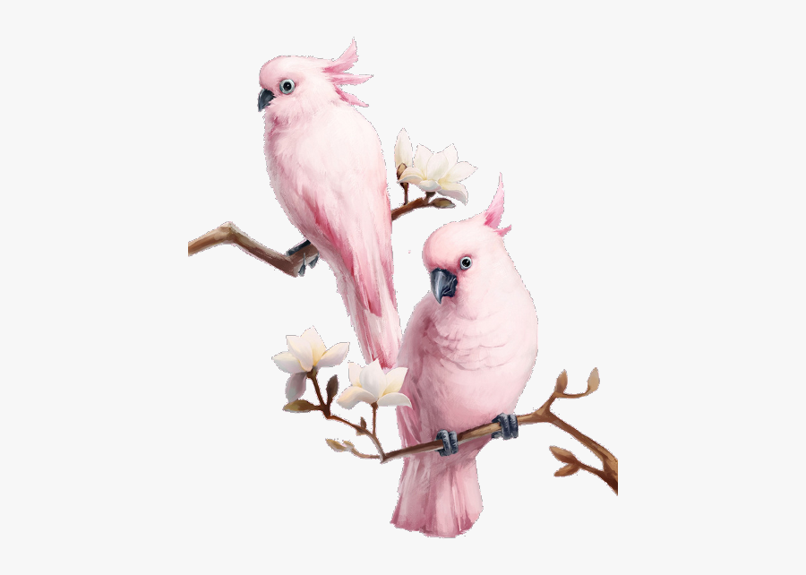 Parrots Pink Freetoedit - Full Hd Png Bird, Transparent Clipart