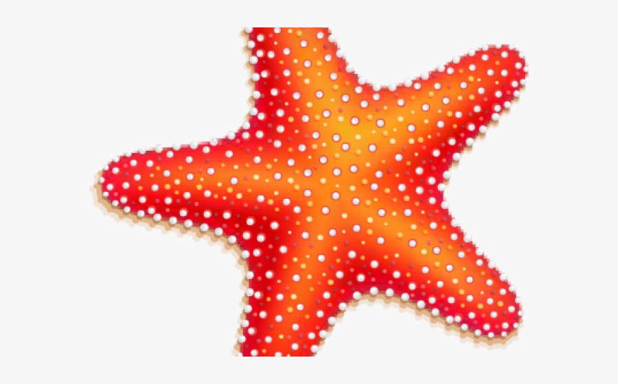 Starfish And Shells Clipart, Transparent Clipart