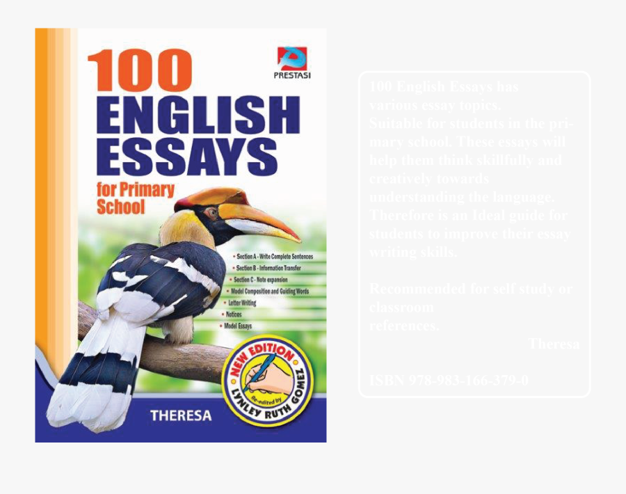 Hornbill, Transparent Clipart