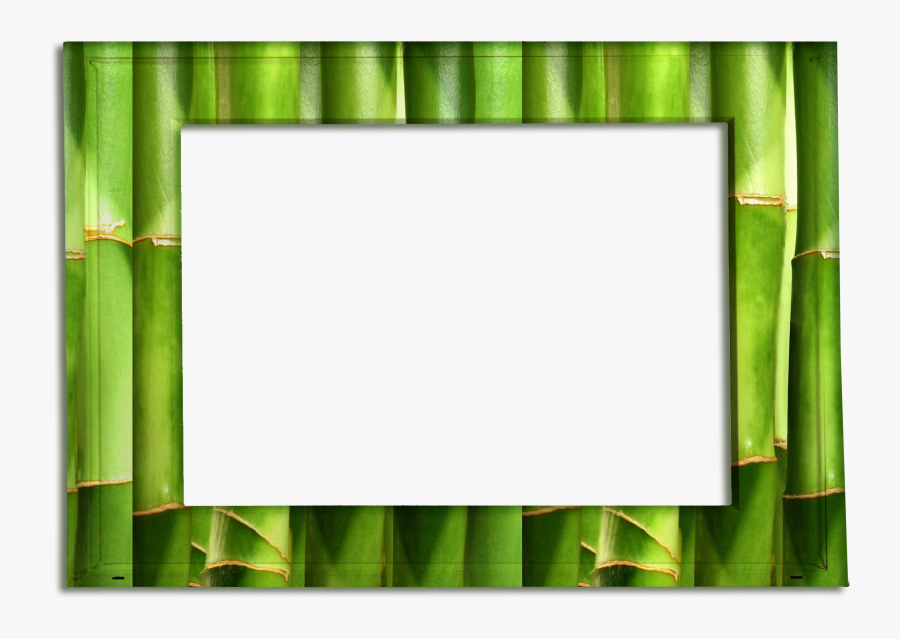 Transparent Bamboo Frame Png - Png Frames Bamboo, Transparent Clipart
