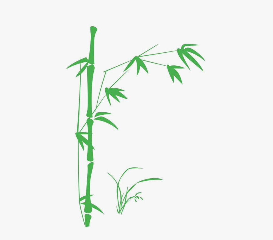 Interior Bamboo Design Wall Art, Transparent Clipart