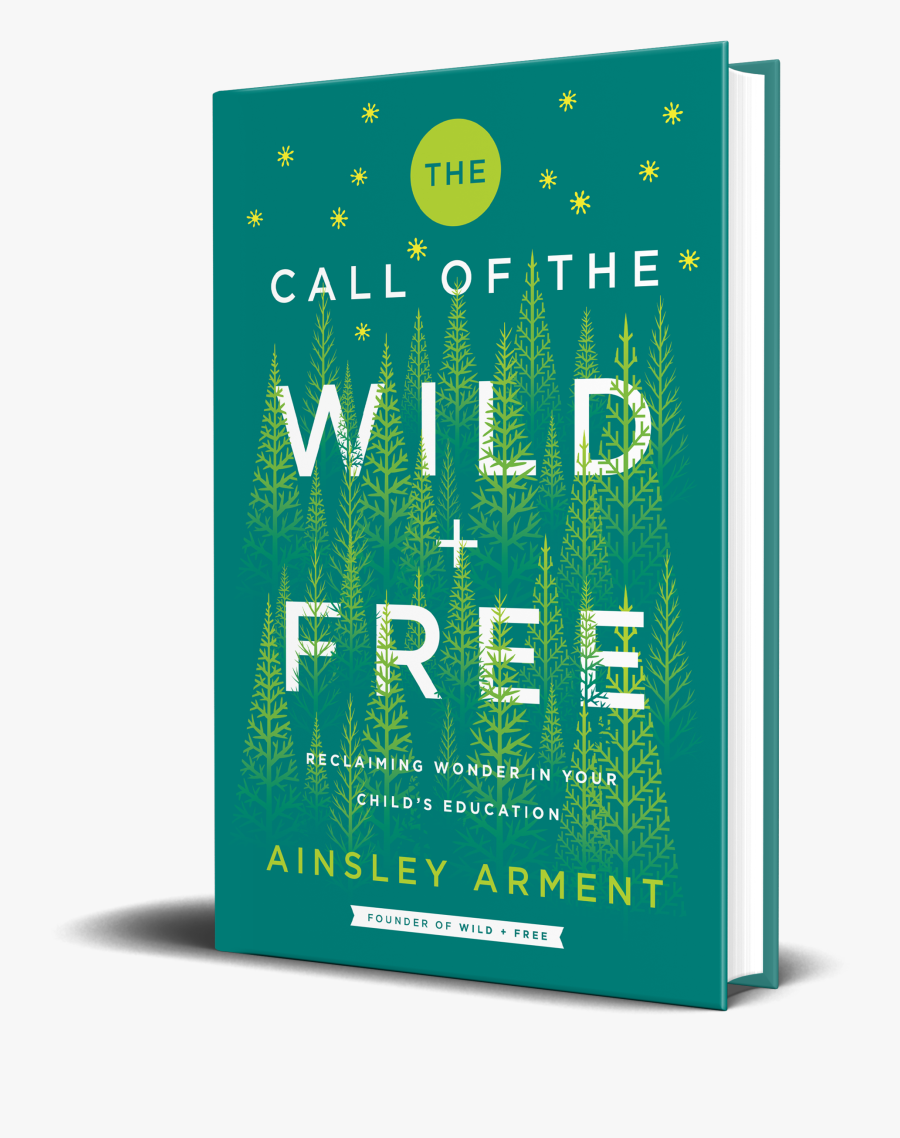 Flyer, Transparent Clipart