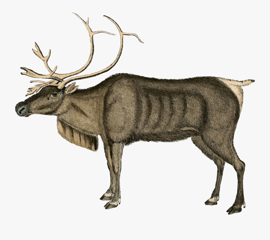 Transparent Weihnachtsbilder Clipart - Christmas Peace Illustration Vintage, Transparent Clipart