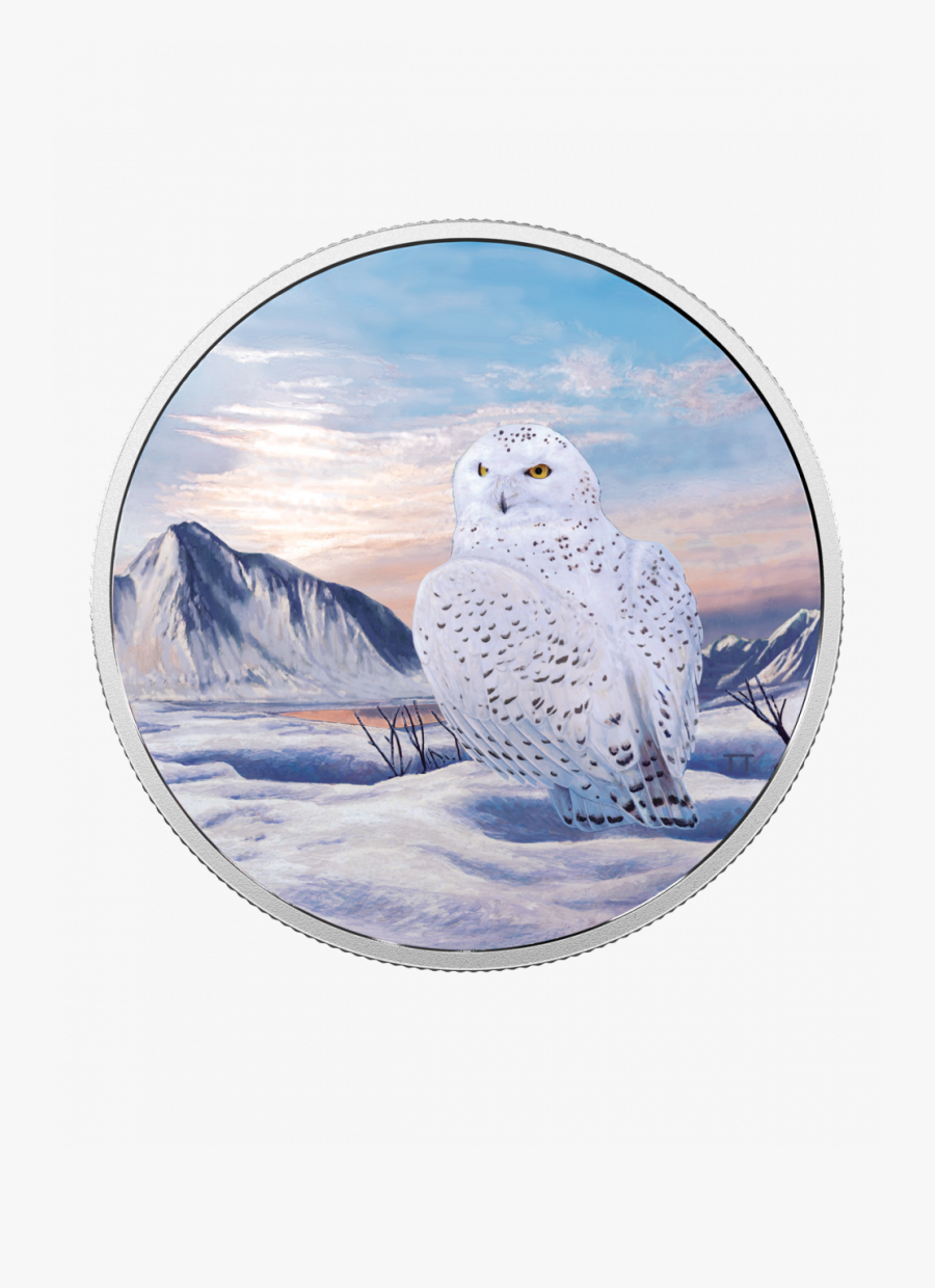 Transparent Snow Mound Png - Schnee Eulen Gif, Transparent Clipart