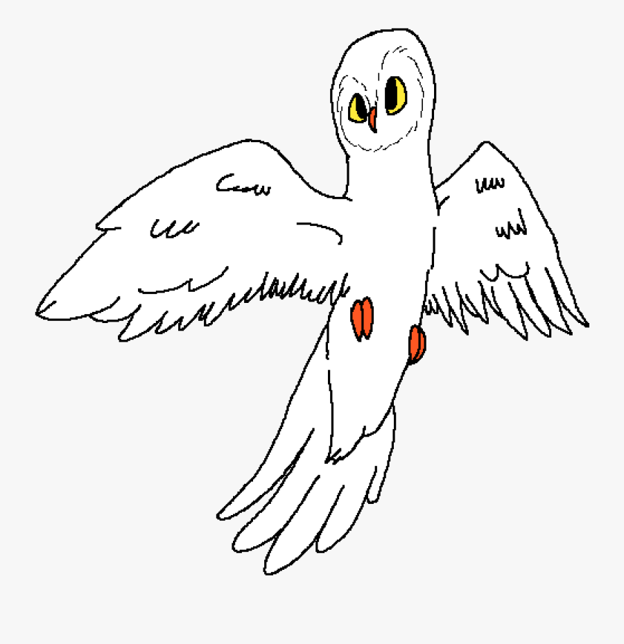 Transparent Snow Owl Png - Eagle, Transparent Clipart