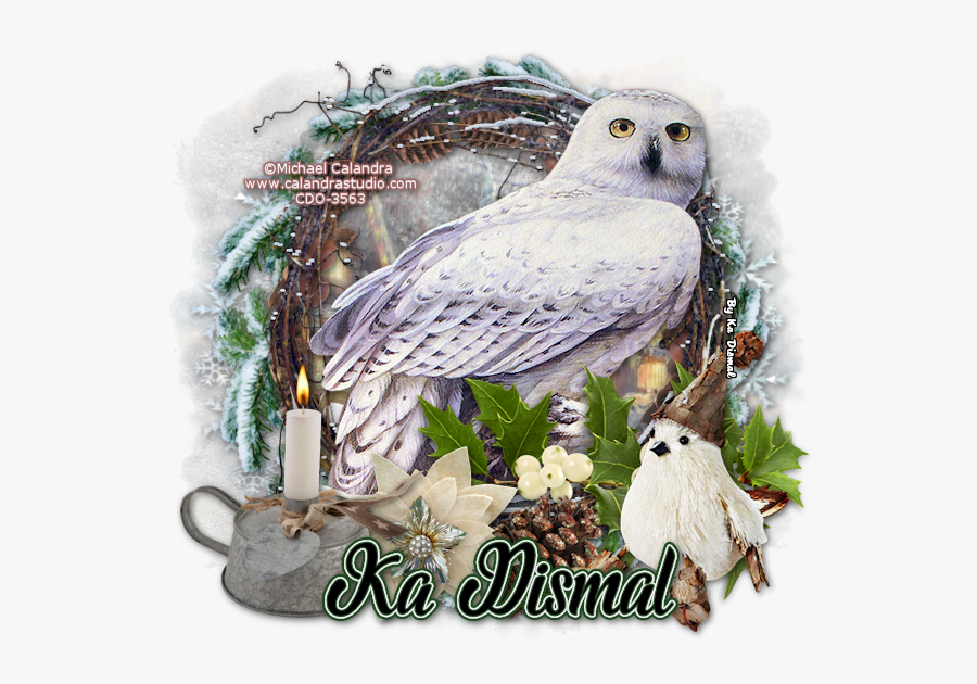 Transparent Snow Owl Png - Photofunia Cam, Transparent Clipart