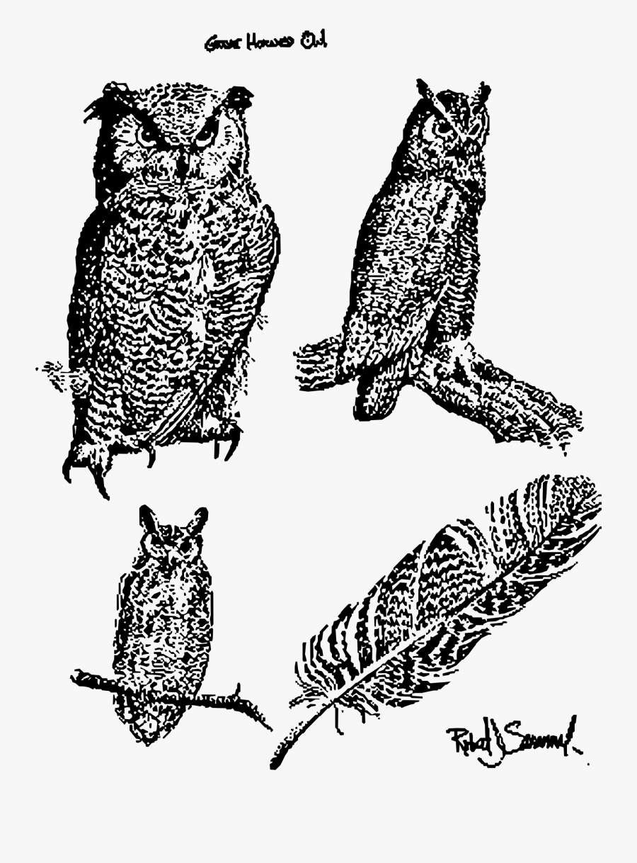 Horned Owl Clipart Public Domain - Public Domain Great Horned Owl, Transparent Clipart