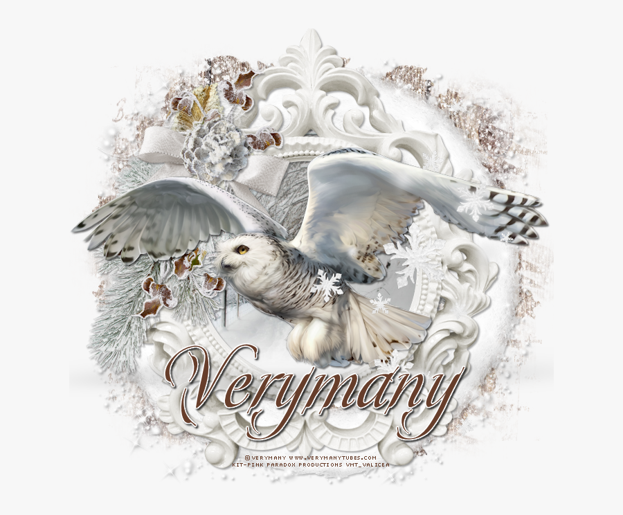 Transparent White Owl Png - Snowy Owl, Transparent Clipart