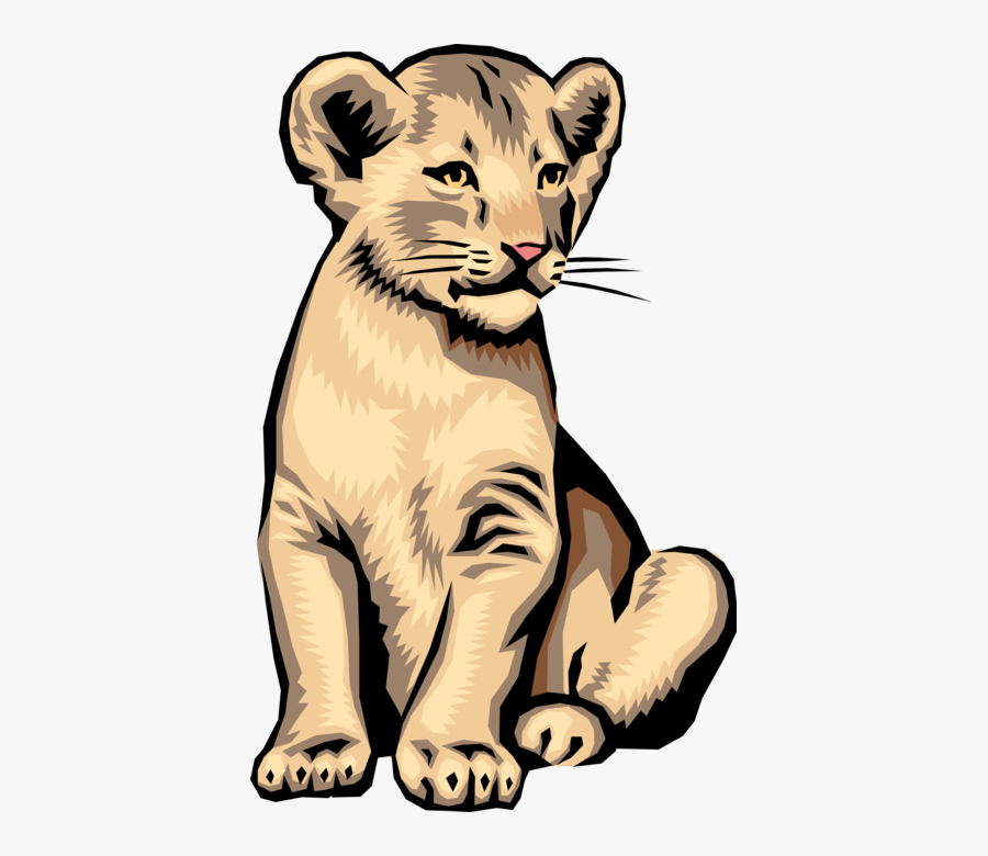 Vector Illustration Of Big Cat African Lion Cub - Desert Canyon Middle School, Transparent Clipart