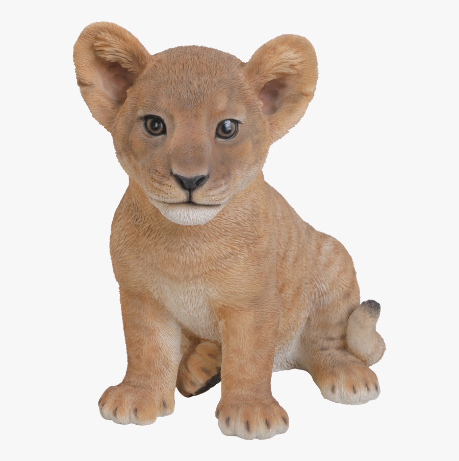 Lion With Cubs Png, Transparent Clipart