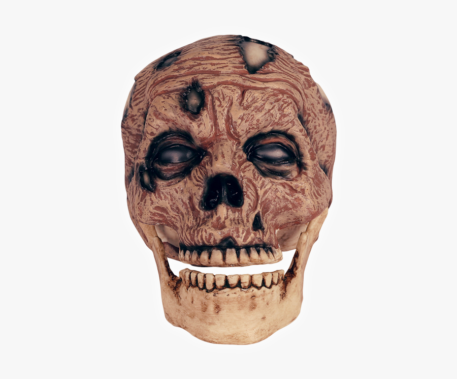 Zombie Head Png, Transparent Clipart