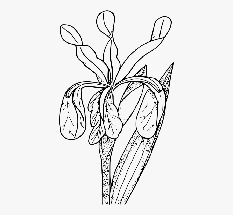 Art,symmetry,monochrome Photography - Coloring Page, Transparent Clipart